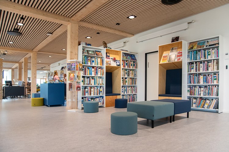 School libraries