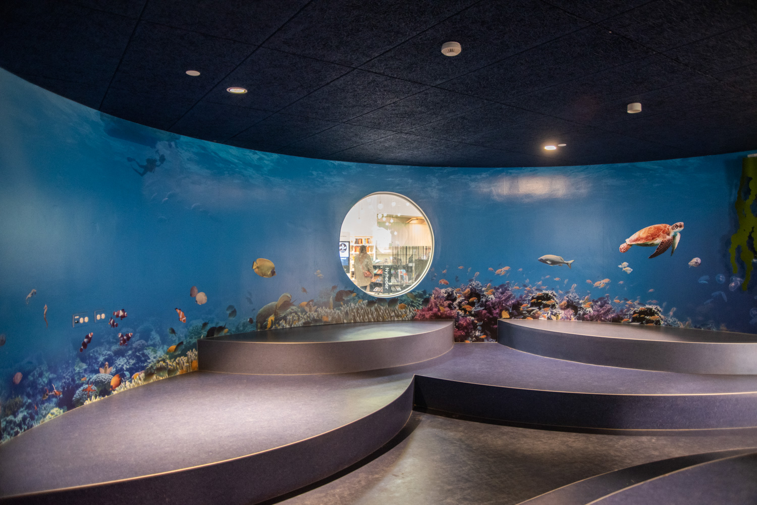 Floor and wall graphics