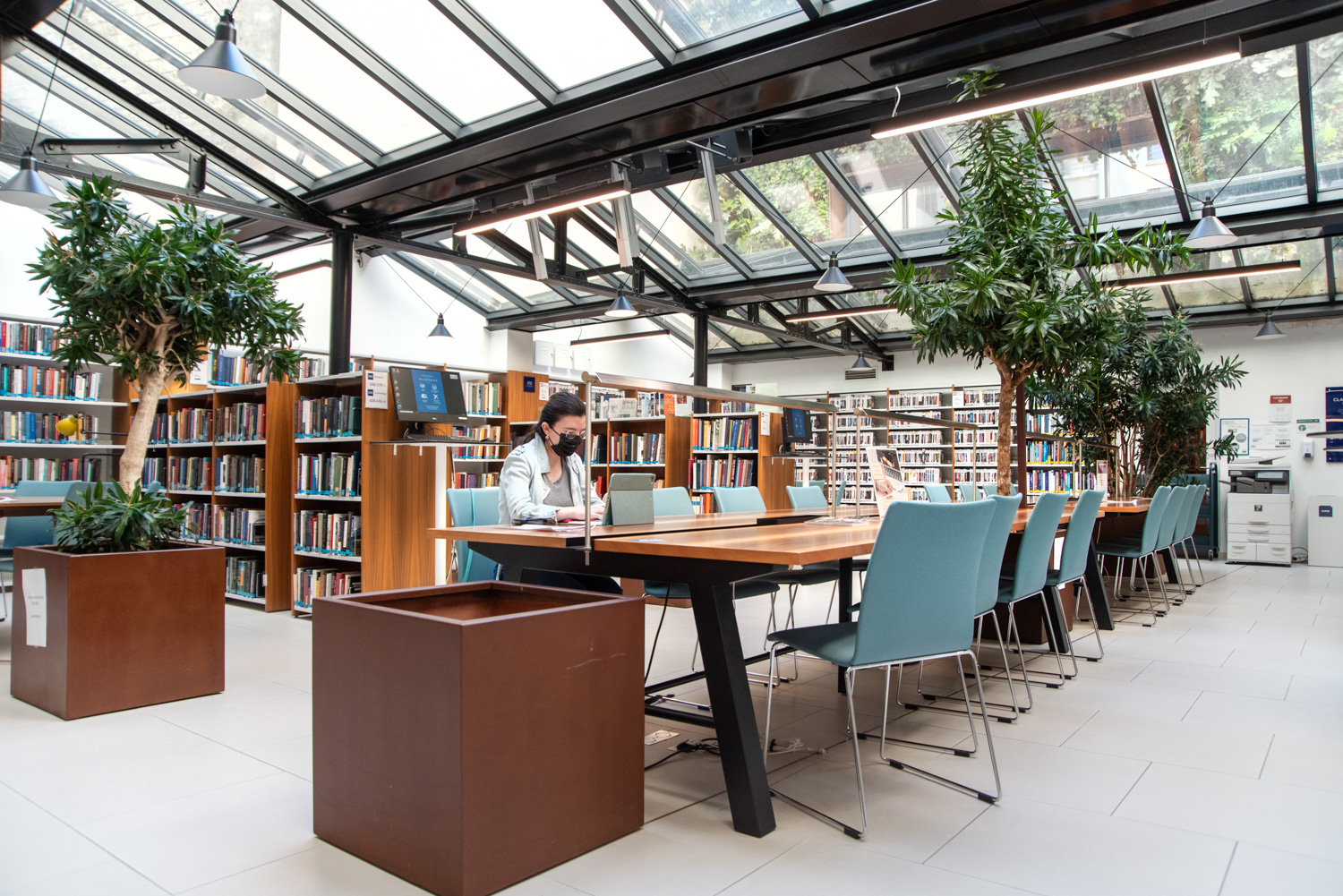 Greenery and nature view