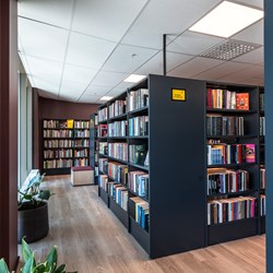Lingo Shelving