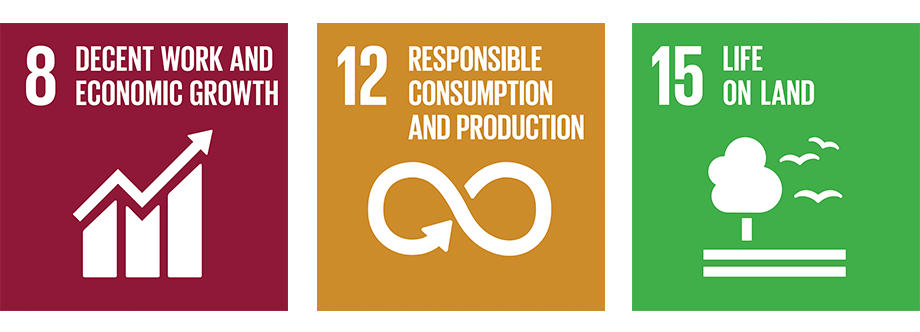 With our sustainable development goals, we support three of the UN's global principles.